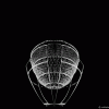 animation-grille-passoire-rodolphe-dogniaux-design-matin-04