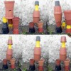 fleur-rodolphe-dogniaux-design-matin-pot-06