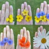 fleur-rodolphe-dogniaux-design-matin5