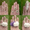 fleur-rodolphe-dogniaux-design-matin5
