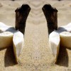 plage-siege-rodolphe-dogniaux-design-matin02