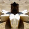 plage-siege-rodolphe-dogniaux-design-matin03