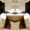 plage-siege-rodolphe-dogniaux-design-matin04