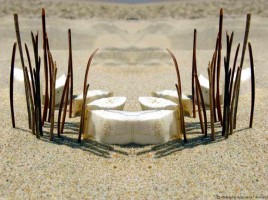 plage-siege-rodolphe-dogniaux-design-matin17